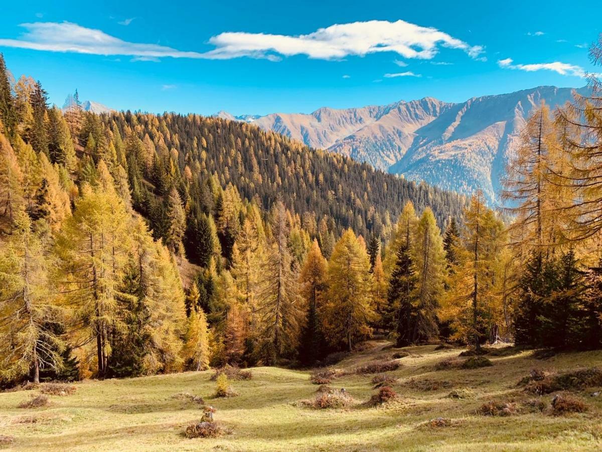 Tgesa Ferrera Villa Schmitten  Екстериор снимка